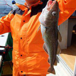 第三むつりょう丸 釣果