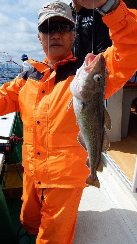 第三むつりょう丸 釣果