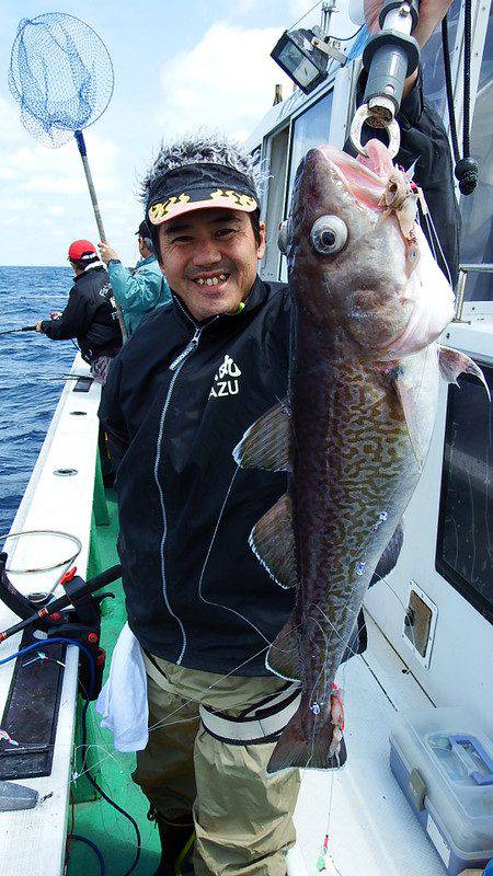 第三むつりょう丸 釣果