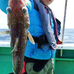 第三むつりょう丸 釣果