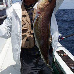 第三むつりょう丸 釣果