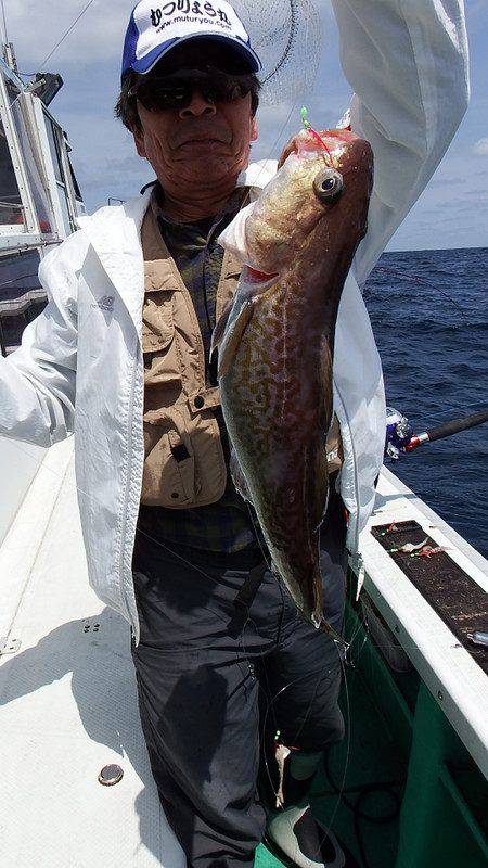 第三むつりょう丸 釣果