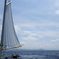 第三むつりょう丸 釣果