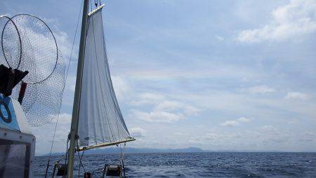 第三むつりょう丸 釣果