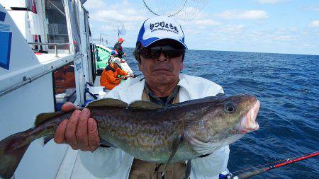 第三むつりょう丸 釣果