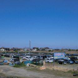 松名瀬フィッシングパーク 釣果