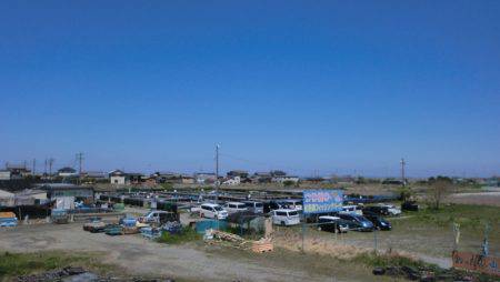 松名瀬フィッシングパーク 釣果