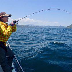 マタウマリンサービス 釣果