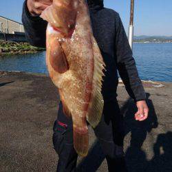 オーフリー 釣果