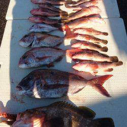 オーフリー 釣果