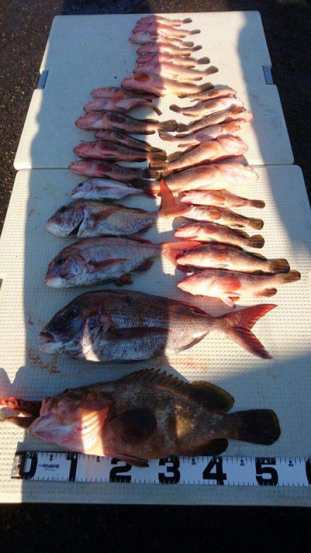 オーフリー 釣果