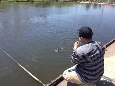 吉羽園 釣果