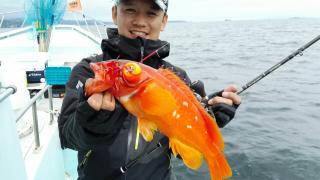 長栄丸(静岡) 釣果