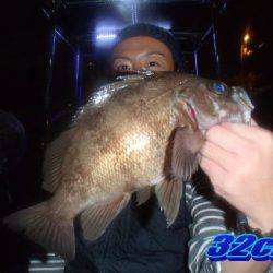 オーシャンマスター 釣果