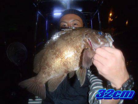 オーシャンマスター 釣果