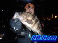 オーシャンマスター 釣果