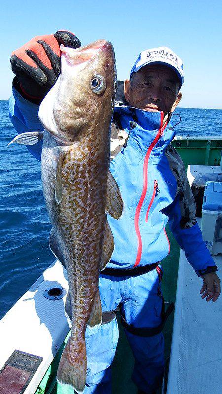 第三むつりょう丸 釣果