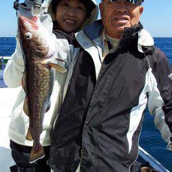 第三むつりょう丸 釣果