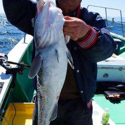 第三むつりょう丸 釣果