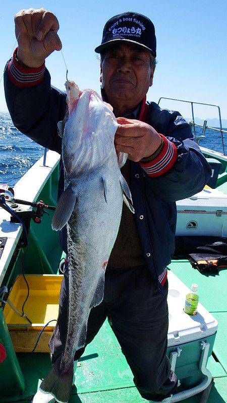 第三むつりょう丸 釣果