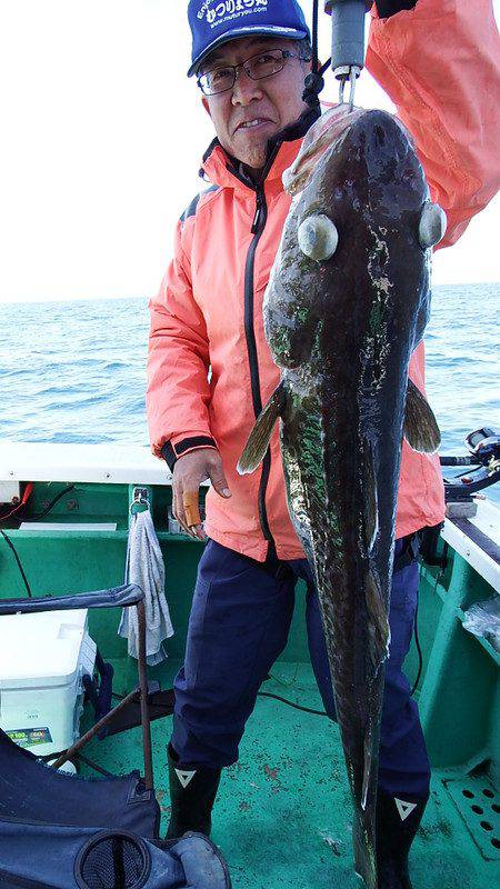第三むつりょう丸 釣果