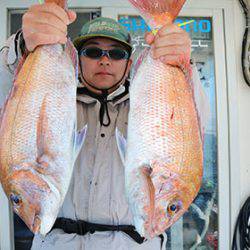 松本釣船２ 釣果