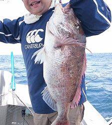 海龍丸(福岡) 釣果