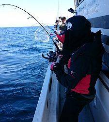 海龍丸(福岡) 釣果