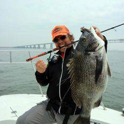 フルコンタクト 釣果