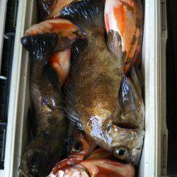 モンロー号 釣果