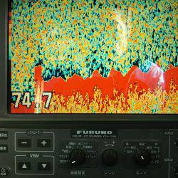 モンロー号 釣果