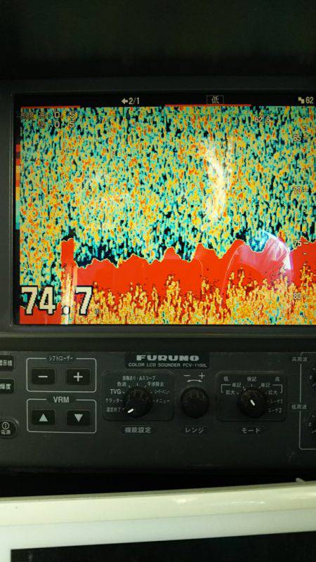 モンロー号 釣果