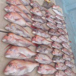 旭星釣りセンター 釣果