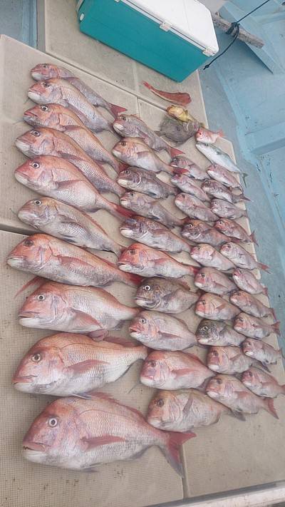 旭星釣りセンター 釣果