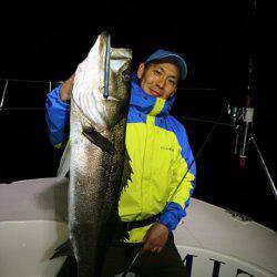 フルコンタクト 釣果