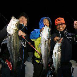 フルコンタクト 釣果