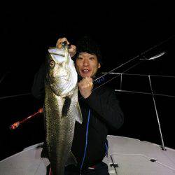 フルコンタクト 釣果