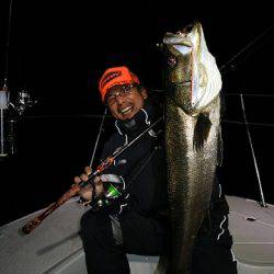 フルコンタクト 釣果