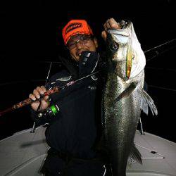 フルコンタクト 釣果