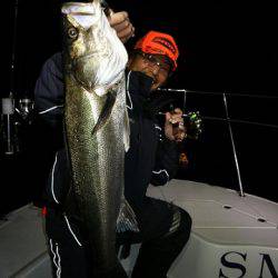 フルコンタクト 釣果