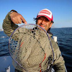 フルコンタクト 釣果