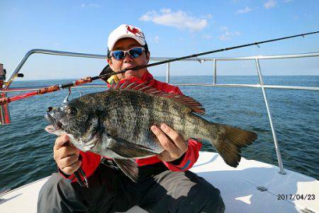 フルコンタクト 釣果