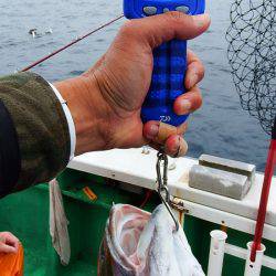 第三むつりょう丸 釣果