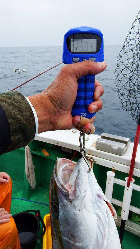 第三むつりょう丸 釣果