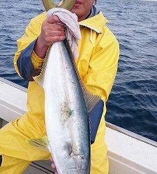 海龍丸(福岡) 釣果