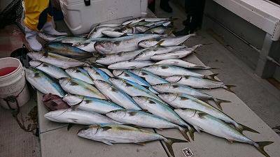 海龍丸(福岡) 釣果