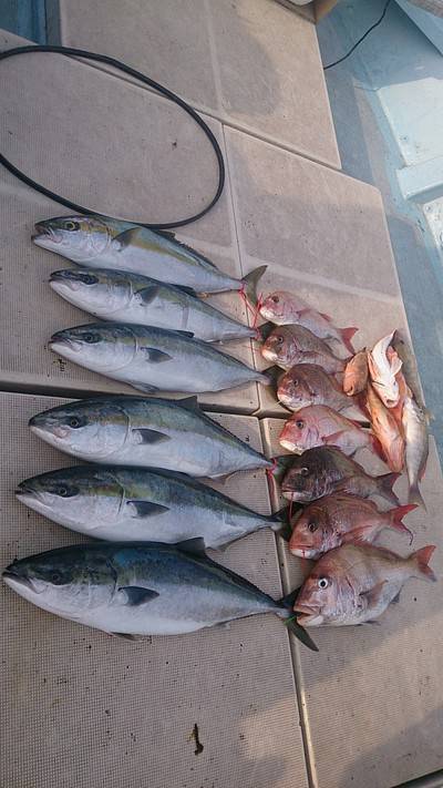 旭星釣りセンター 釣果