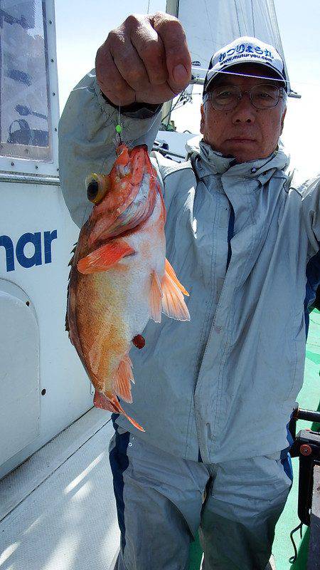 第三むつりょう丸 釣果