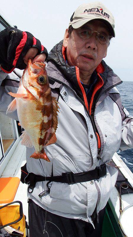 第三むつりょう丸 釣果