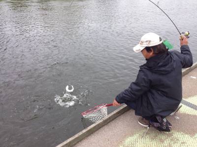 吉羽園 釣果